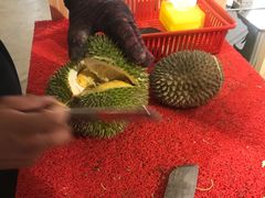 -都念榴莲·城市榴莲