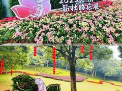 -广州市白云山风景名胜区