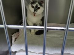 -瑞鹏宠物医院·爱宠堂(环西分院)