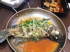 豆豉清蒸珍珠斑-盒马鲜生(皇庭广场店)