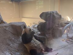 -宁波野生动物园