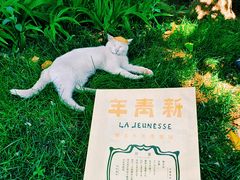 -北京鲁迅博物馆(北京新文化运动纪念馆鲁博馆区)