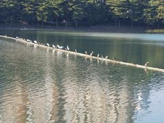 -南宁南湖公园