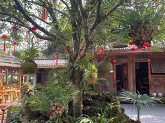 -青城甲(青城山店)