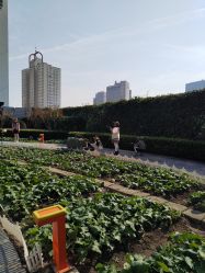 -头号顽家·萌宠生日派对·轻奢策划(前滩店)
