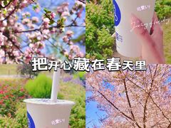 -茶百道(大卫城店)