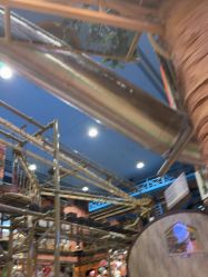 -卡通尼·Safari非洲探索乐园·生日会(金桥国际商业广场店)