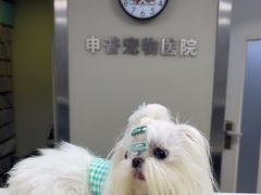 -申普宠物医院(总院)