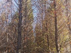 -五甲塘生态湿地公园