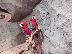 -Zoolung Zoolung动物主题公园(海信广场店)