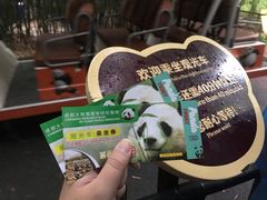 游乐设施-成都大熊猫繁育研究基地