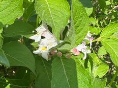 -昆山城市生态森林公园