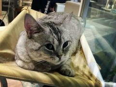 -小时光咖啡馆(开森度假森林店)