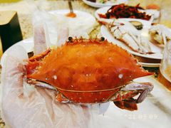 -禾斗海鲜自助(市南银座店)