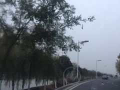 iphone_upload_pic-羊山湖公园