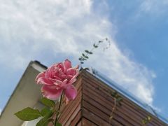 -望海·帆船主题咖啡厅•品茗下午茶(石湖景区店)