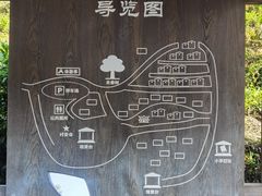 -杨家堂村