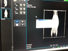 -瑞派·关忠动物医院·异宠专科·犬猫肿瘤·皮肤专科(望京店)