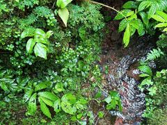 -西岭雪山大飞水景区