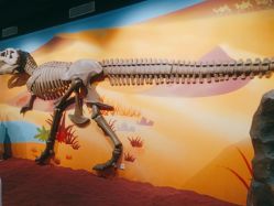 -北京科学中心儿童乐园