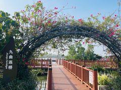 -芒洲湿地公园
