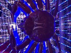 大堂-蟹之国·精品蟹料理(极地店)