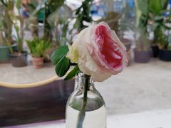 -邊渡咖啡