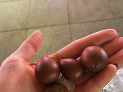 小栗子-小邢板栗(中和路店)