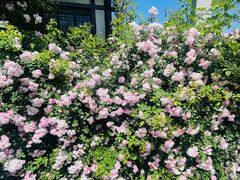 -茅山东方盐湖城景区