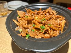 -佬肥猫(南翔印象城MEGA店)