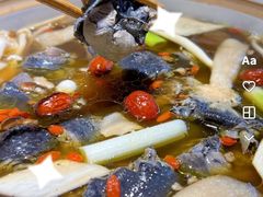 -土连锅·现熬养生汤锅(梁家巷店)