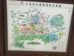 三圣乡全景图-三圣花乡旅游区