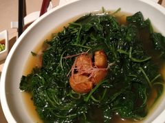 上汤辣椒叶-金苑海鲜酒家(来魅力店)