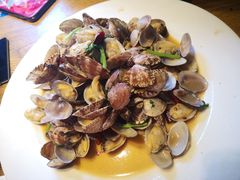 辣炒青岛小花蛤-船歌·鱼水饺青岛菜(闽江二路店)