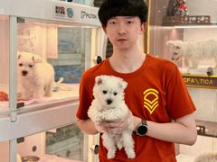 -翊宠yipet猫狗购宠庄园