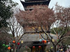 -常熟方塔园