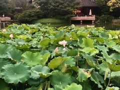 -杭州西子湖四季酒店·金沙厅