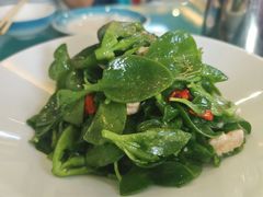 -国强手抓(西夏区店)