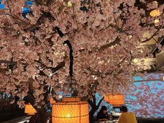 大堂-桂满隴·站立的杭州(无锡八佰伴店)