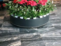 -大鸭梨烤鸭(枣园店)