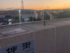 -特克斯八卦城