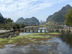 -靖西鹅泉风景区