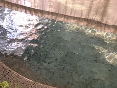 -杭州第一世界大酒店·云曼温泉