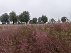 -汉长安城未央宫国家考古遗址公园