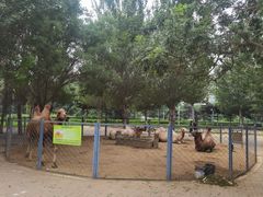 -长白岛森林公园