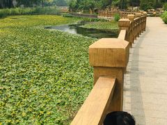 -石家庄市动物园