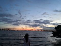 -宝安西湾红树林湿地公园