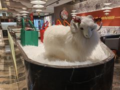 -百草滩羊清水涮羊肉·清真·宁夏盐池滩羊(莲花桥店)