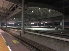 -深圳坪山站