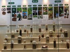 -广东中医药博物馆